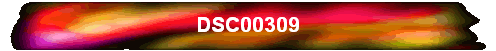 DSC00309