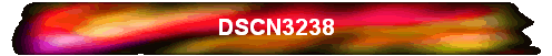 DSCN3238