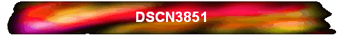 DSCN3851